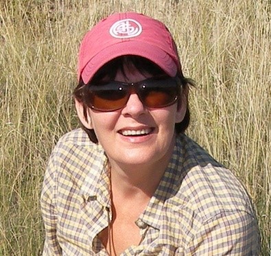 广发体育创新论坛第一千五百四十四讲：Intra-plate oceanic island basalts:  retrospective and perspectives 