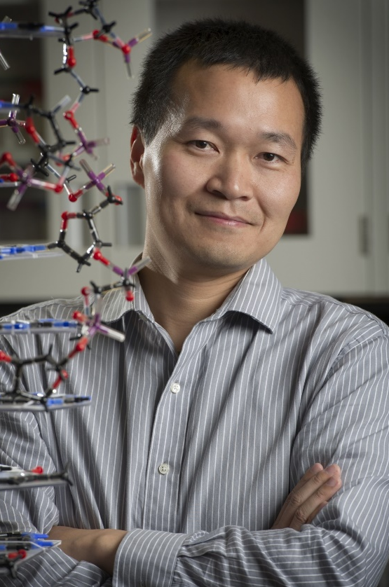 广发体育创新论坛第一千九百七十八讲：核酸适配体筛选：从小分子到微塑料