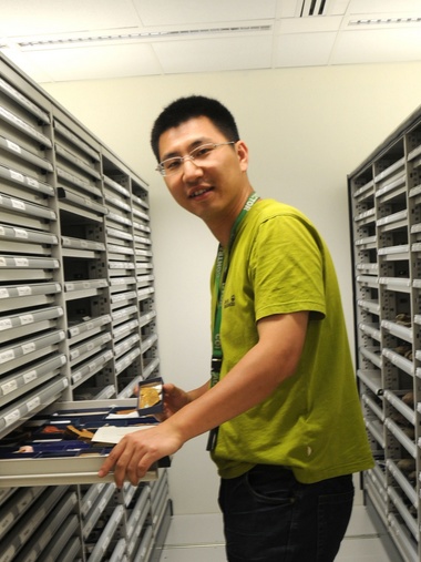 广发体育创新论坛第一千八百零一讲：虫鸣凤舞伴花香：现代陆地生态系统的起源