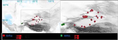 项目获取的天山东西部古人群的线粒体与核基因组分布图。 广发体育供图