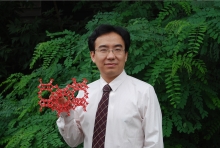 广发体育创新论坛第一千二百七十三讲暨120周年校庆年系列活动： Unexpected slow diffusion in hierarchical porous materials with combined surface and configurational diffusion   