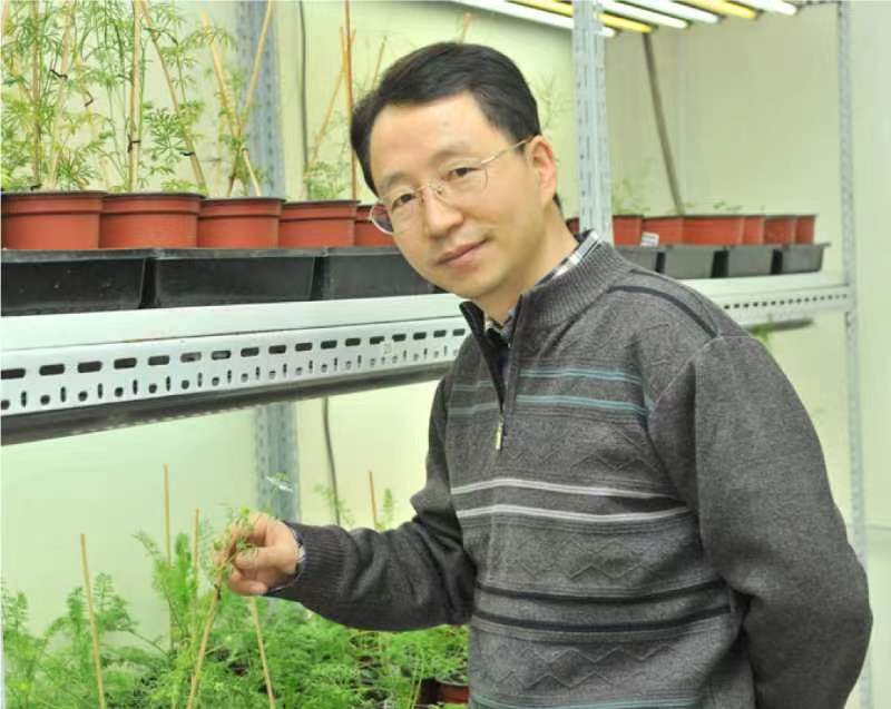 广发体育创新论坛第一千二百六十八讲暨120周年校庆年系列活动：复杂花瓣的发育与进化