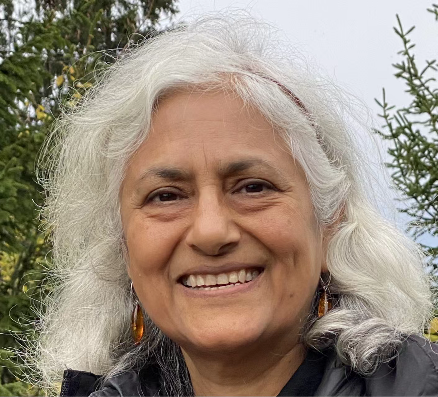 广发体育创新论坛第一千七百三十九讲：Fractionalized excitations in Quantum Spin Liquids and their Detection